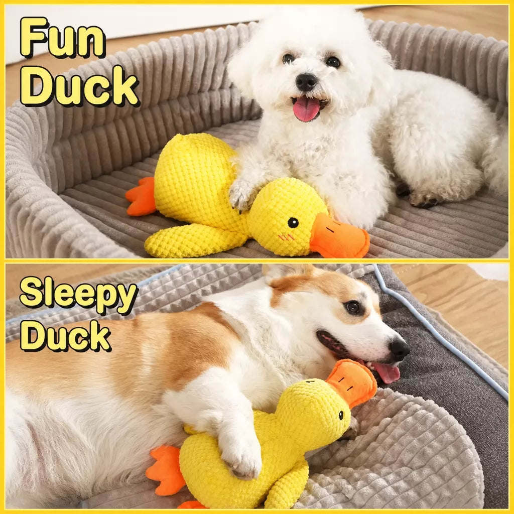 Plush Squeaky Dog Toy