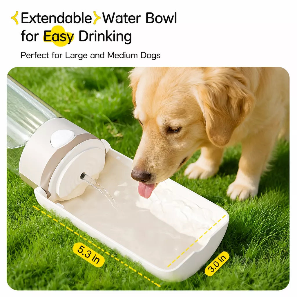 Portable Dog Water Bottle for Walks and Travel