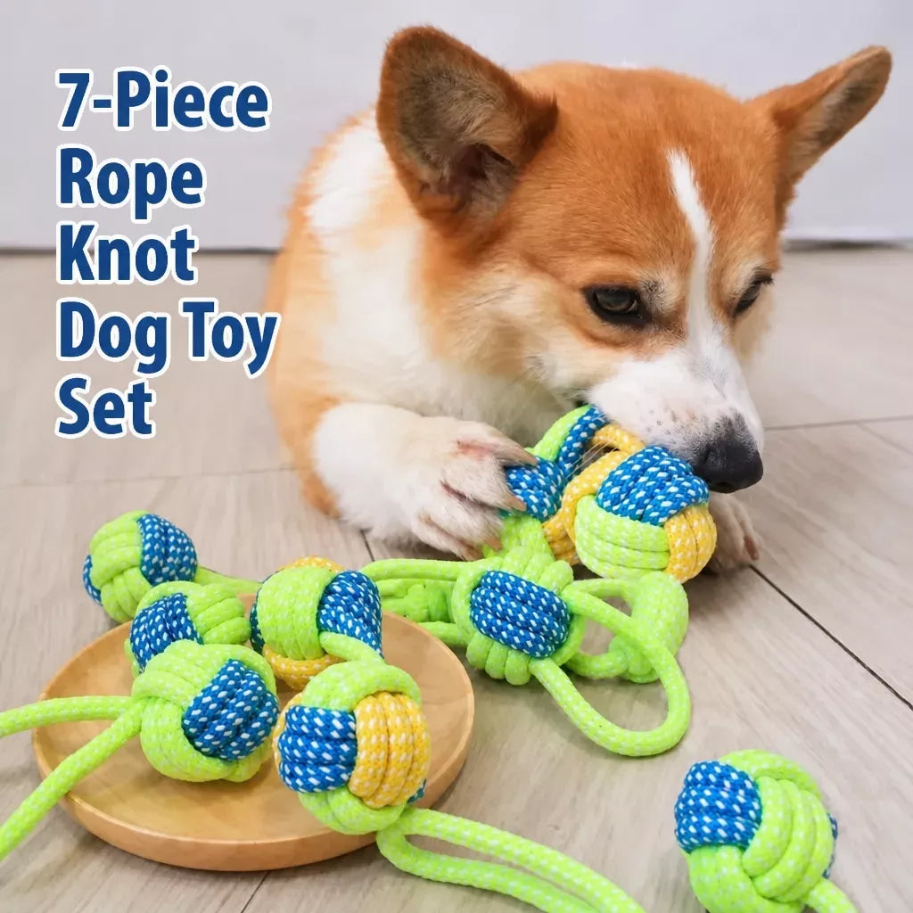 Squeaky Rope Chew Toys for Small and Medium Dogs