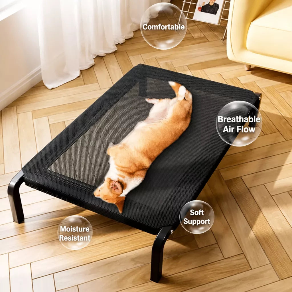 Elevated Pet Cot Bed with Removable Washable Nylon Cover