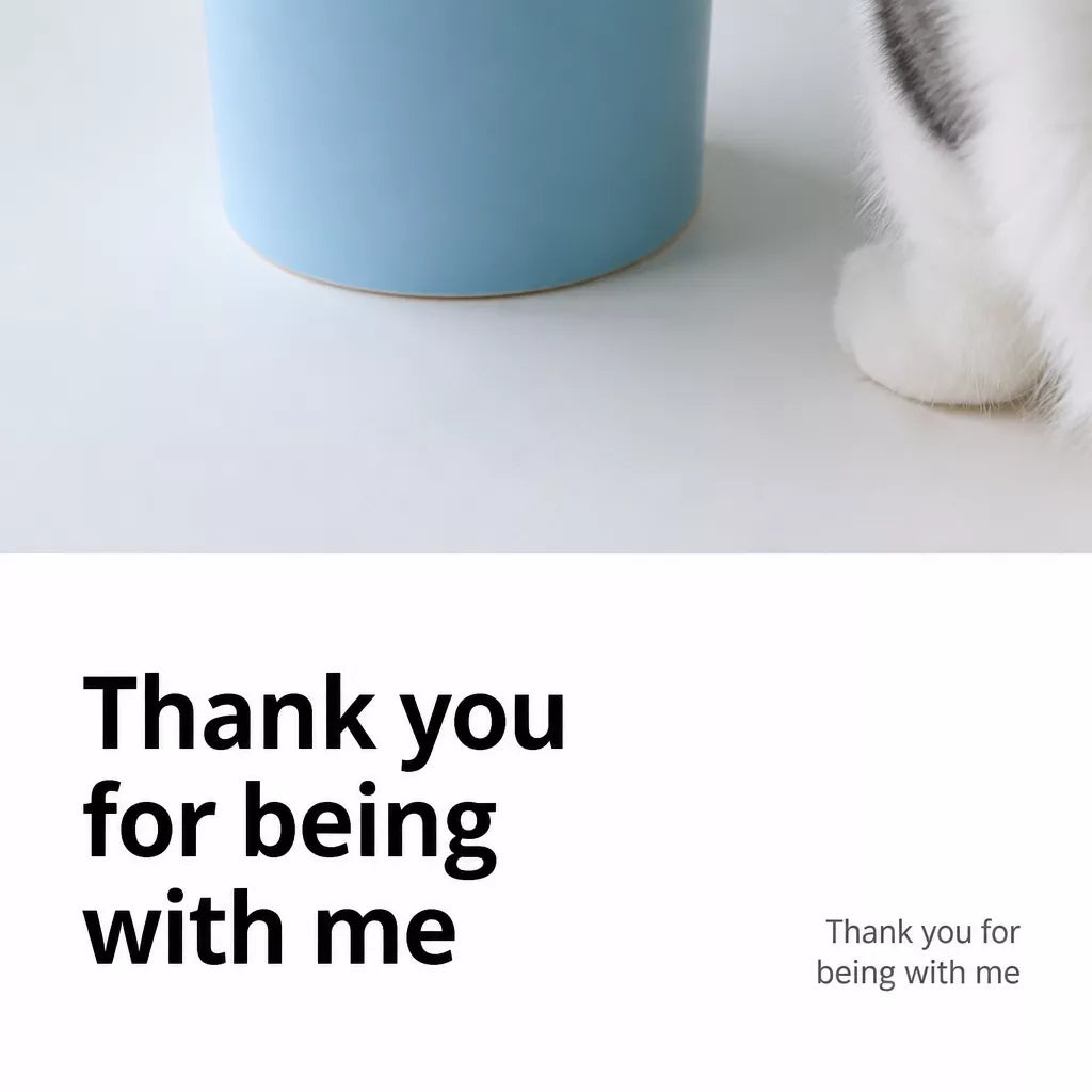 Fafa Ceramic Pet Bowl