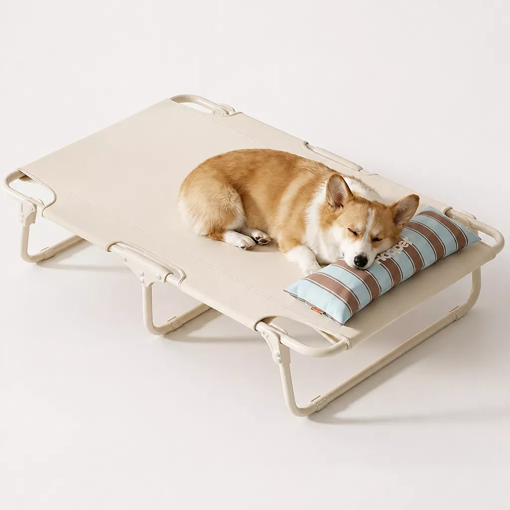 Elevated Waterproof Dog Bed