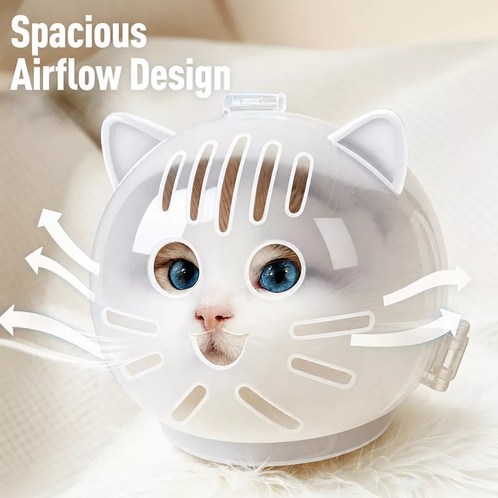Clear Plastic Cat Elizabethan Collar