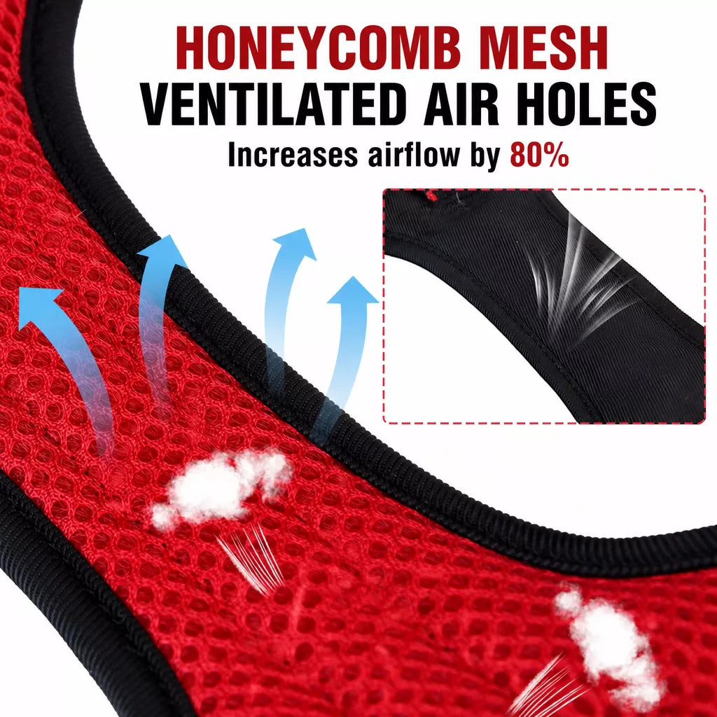 Wing-Detail Nylon Dog Harness