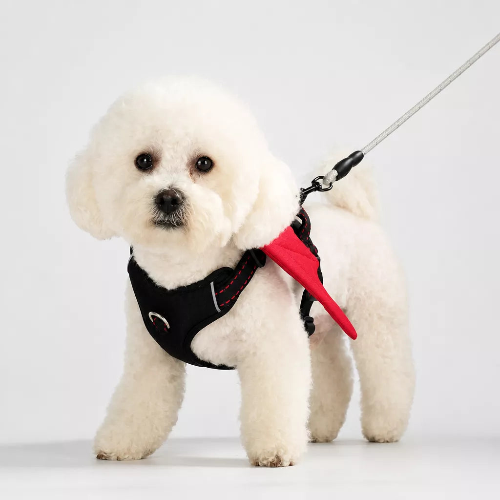 Wing-Detail Nylon Dog Harness