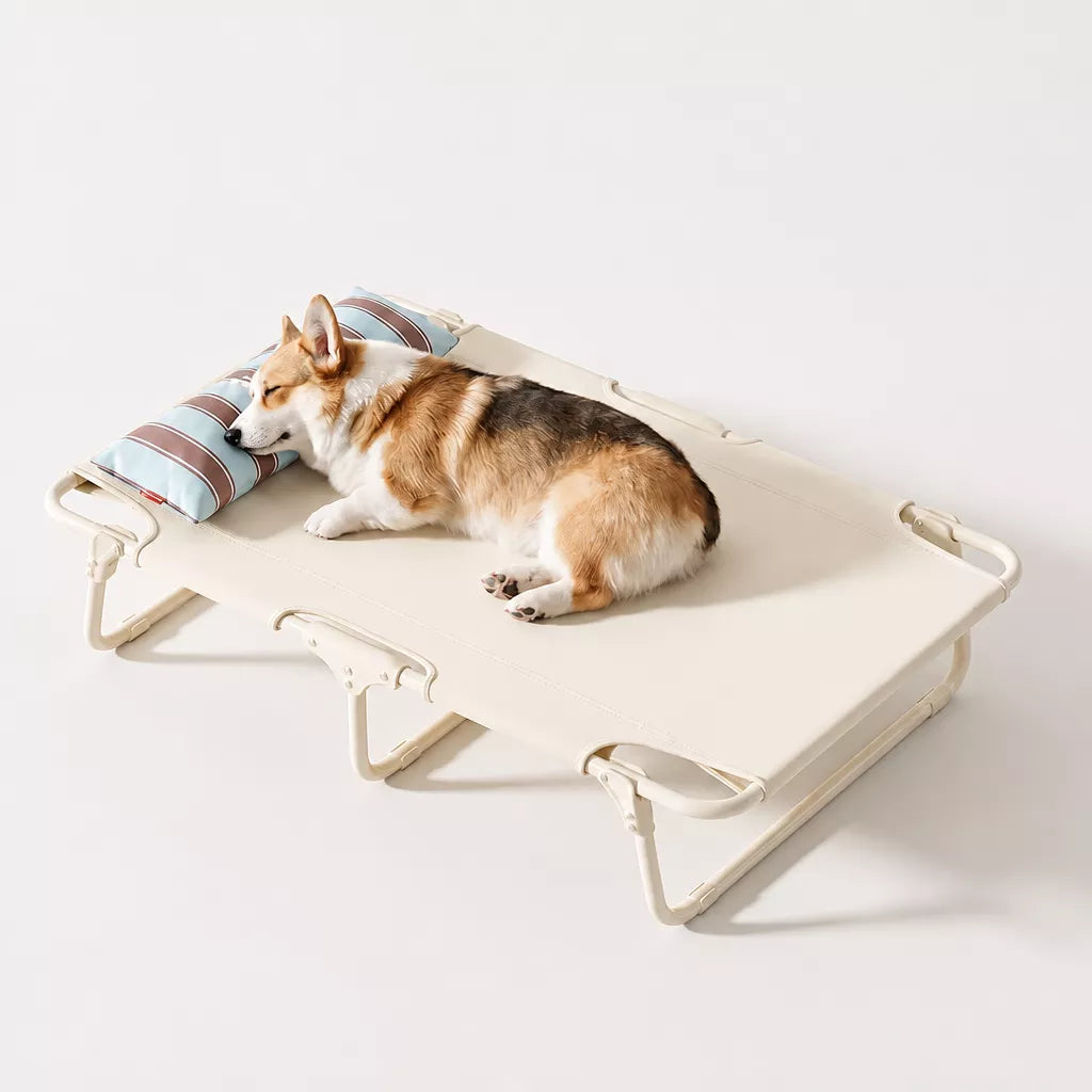 Elevated Waterproof Dog Bed