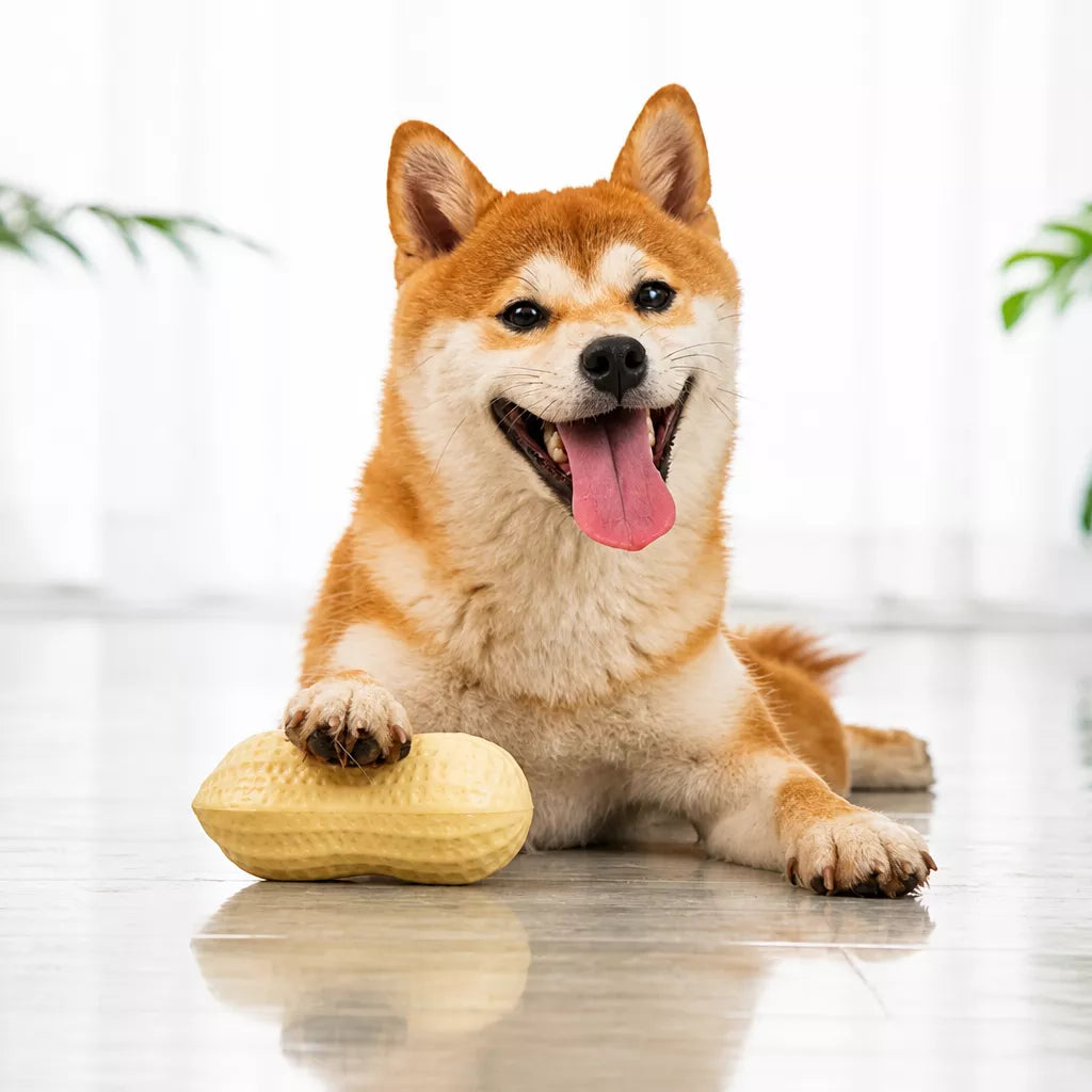 Peanut-Shaped Squeaky Dog Toy