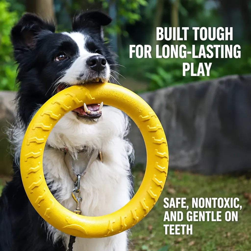 Interactive Dog Toy with Flying Disc, Tug Ring & Floating Ball