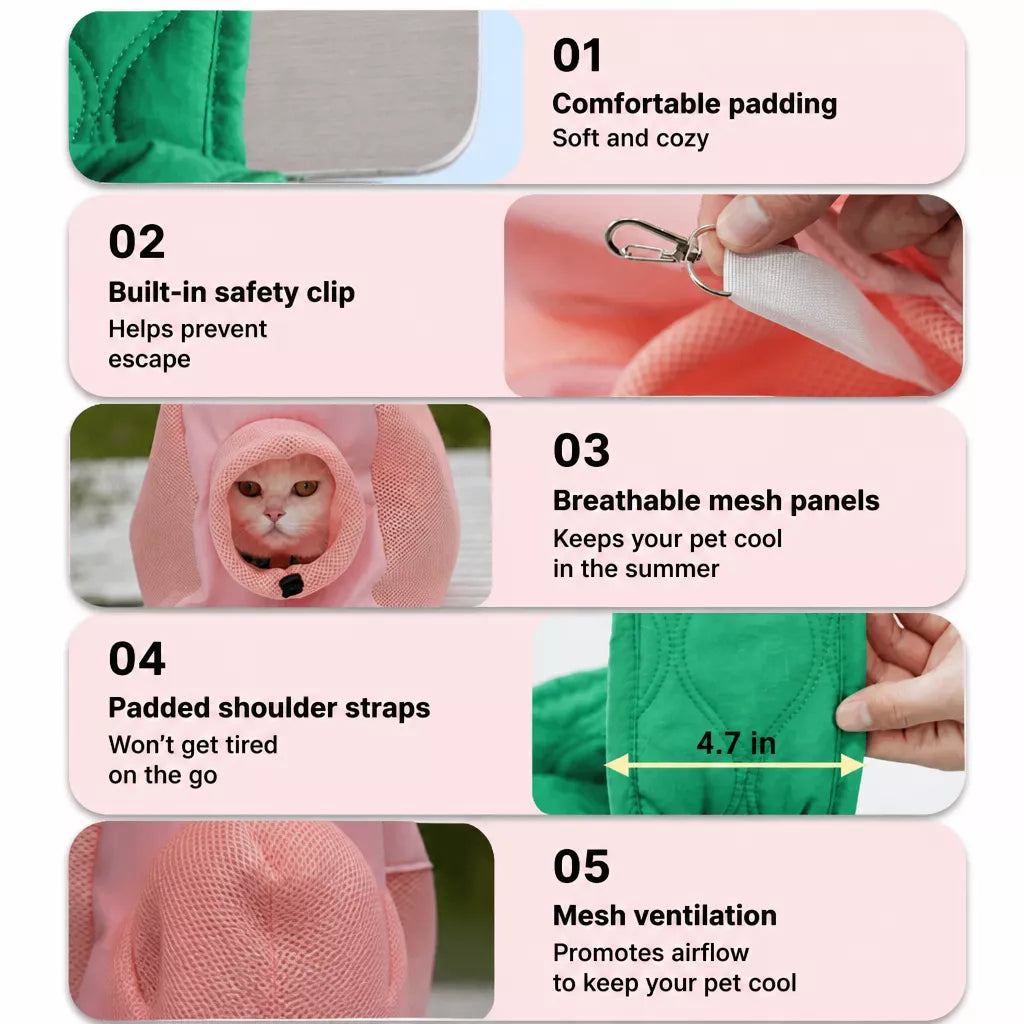 Double-Sided Mesh Pet Carrier Bag