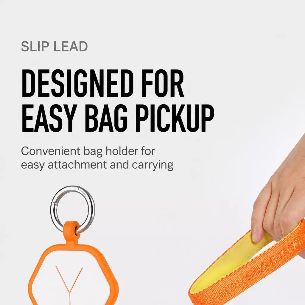 Integrated Slip Lead Dog Leash with Close-Control Handle