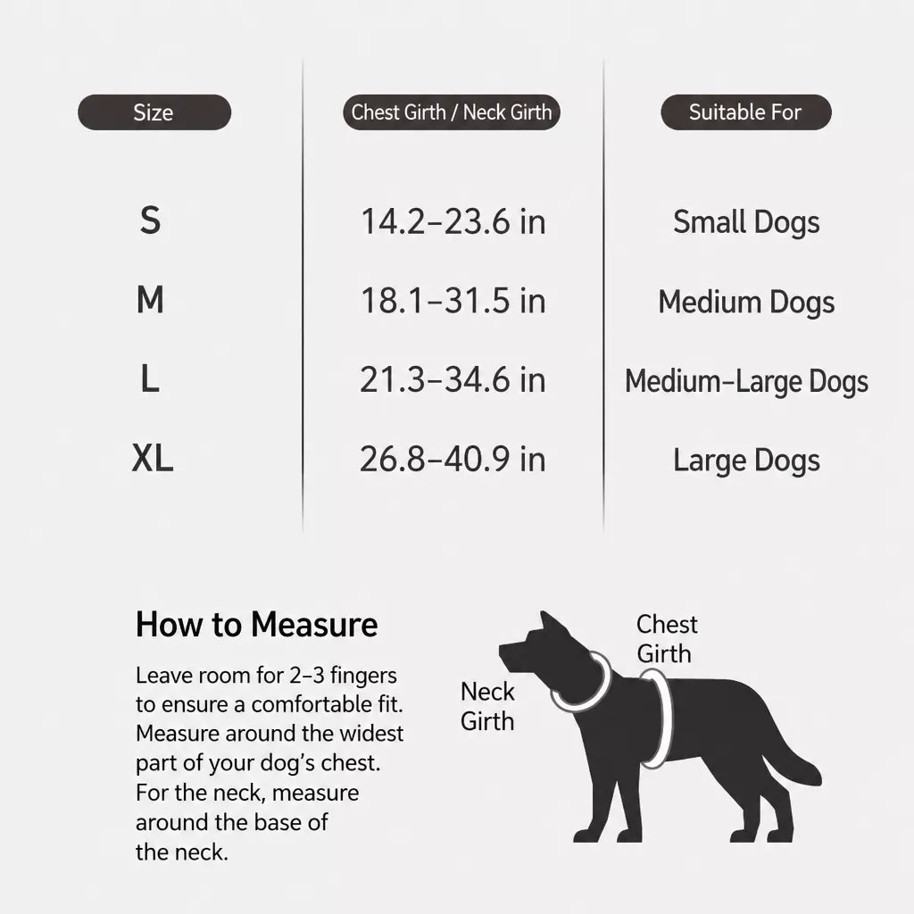 Lightweight Nylon Dog Harness and Leash Set