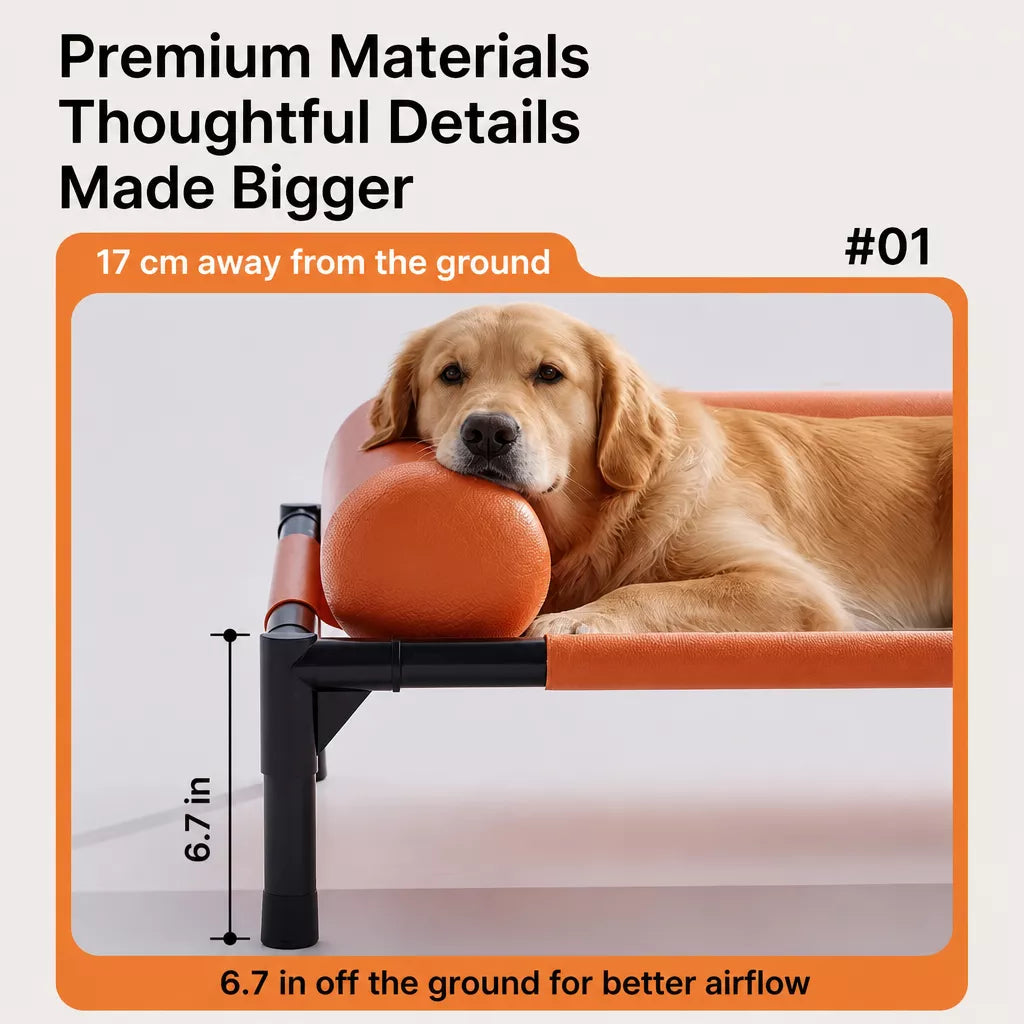 Raised Cot-Style Pet Bed for Small to Medium Dogs and Cats
