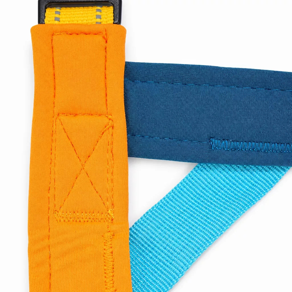 Nylon Round Dog Leash for Small to Medium Dogs