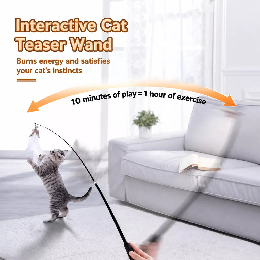 Cat Teaser Wand with Feather Replacement Toy Heads