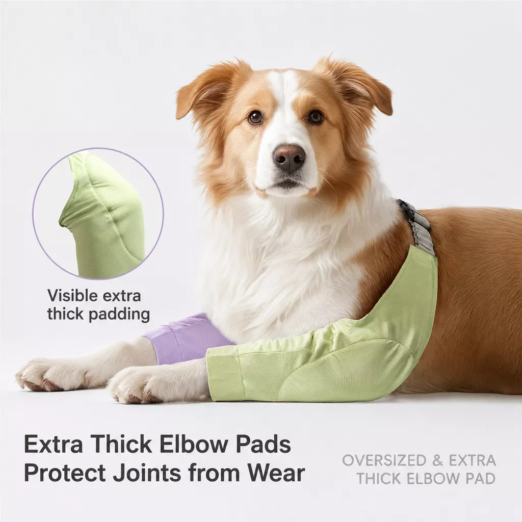 Dog Front-Leg Coverall for Medium to Large Dogs
