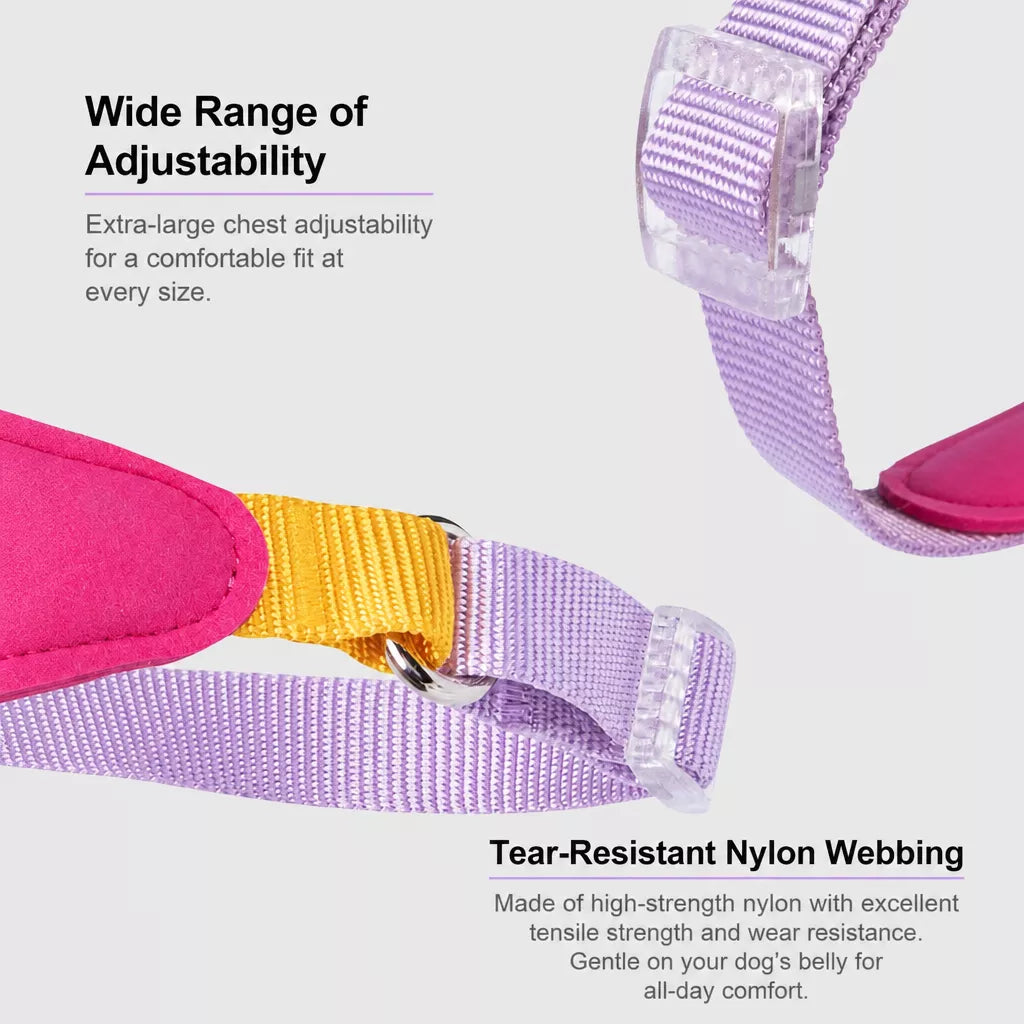 Y-Front Dog Harness with Matching Leash