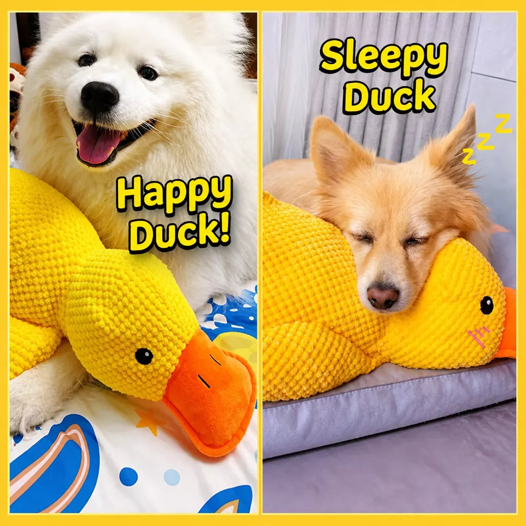 Plush Squeaky Dog Toy