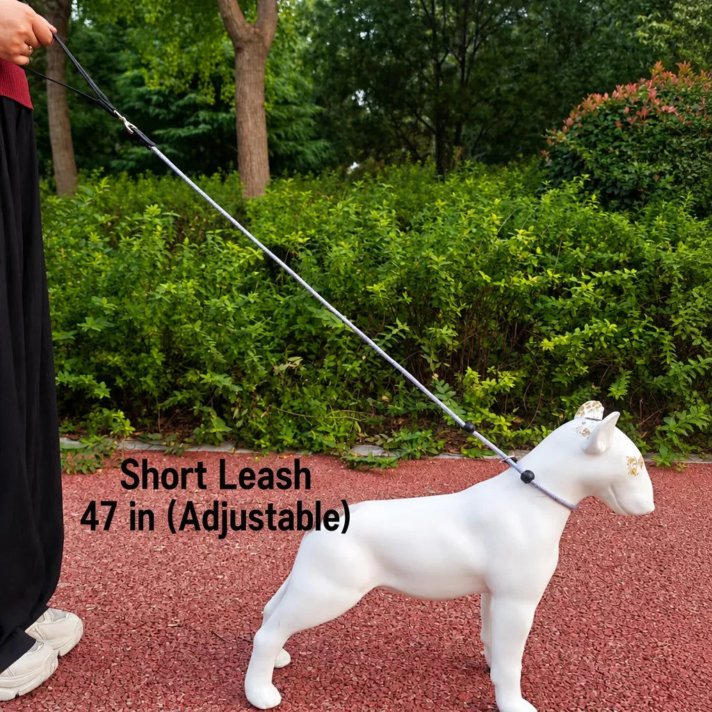 Nylon Rope-Style Dog Training Leash for Small and Medium Dogs