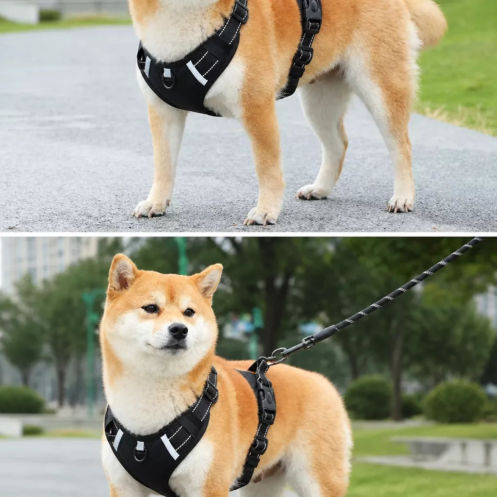 Dog Vest Harness and Leash for Everyday Walks