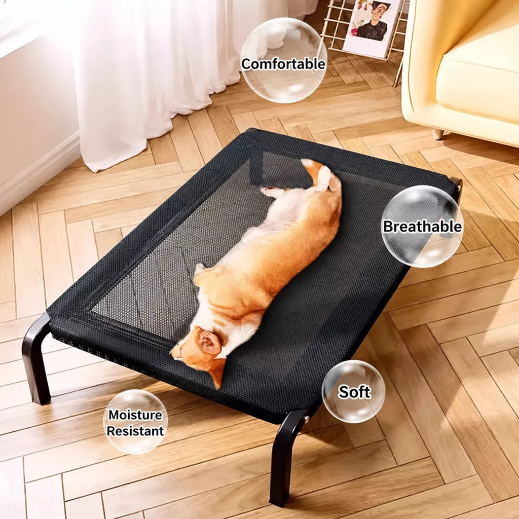 Elevated Mesh Dog Cot Bed