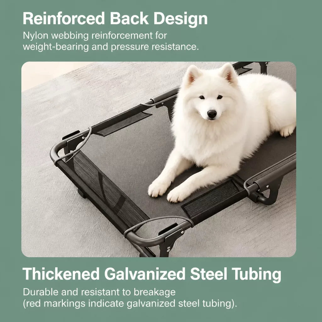 Elevated Foldable Mesh Dog Bed