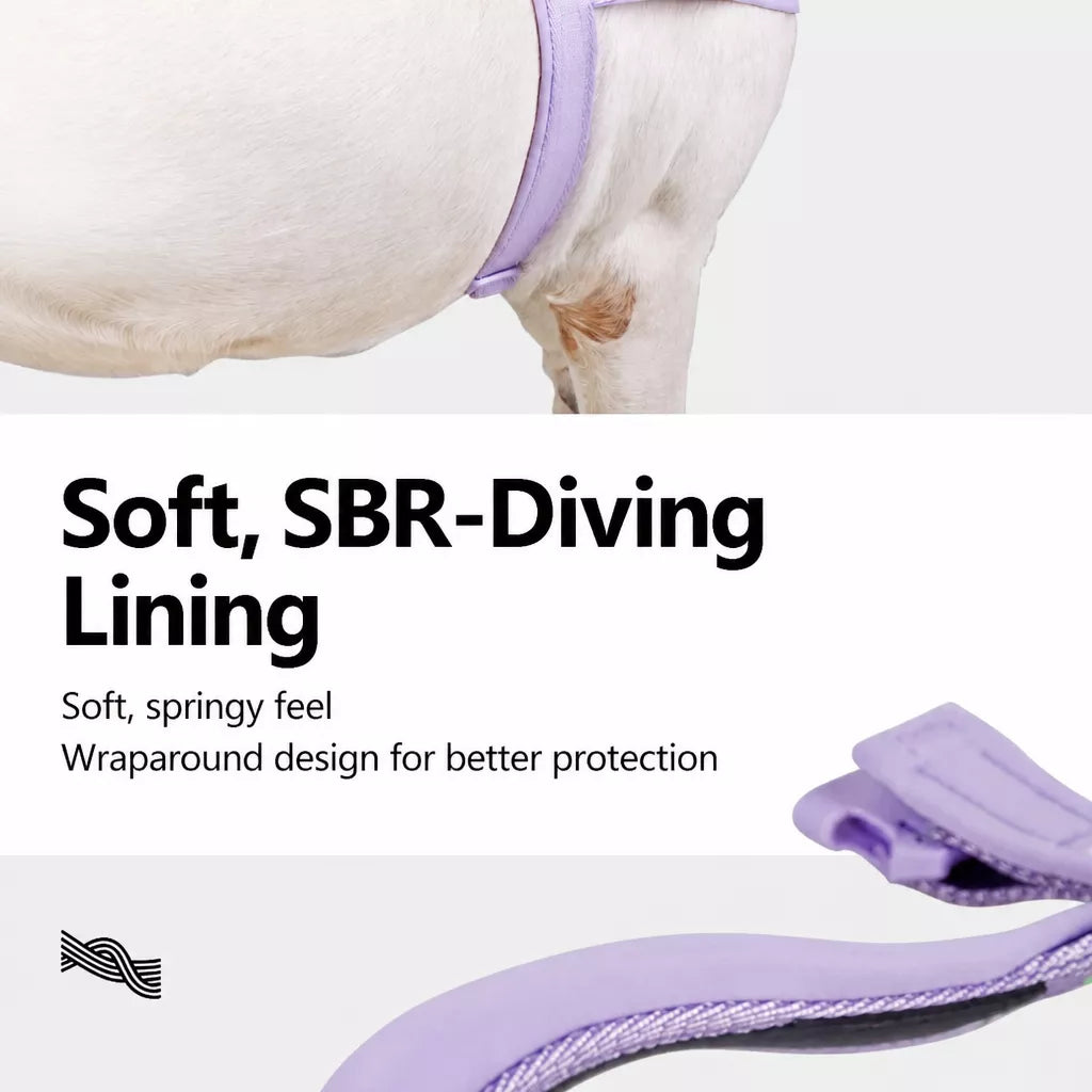 Nylon Dog Harness with Collar and Leash Set Options