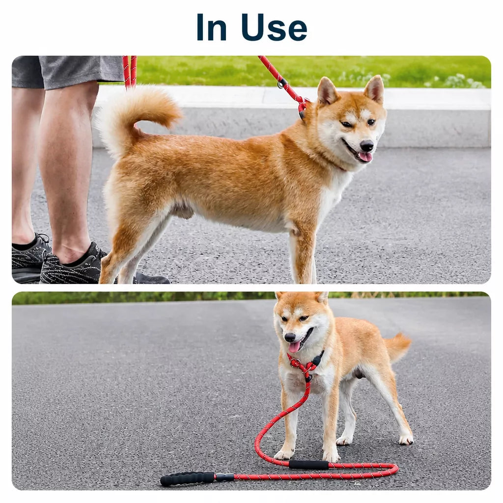 Dog Rope Leash