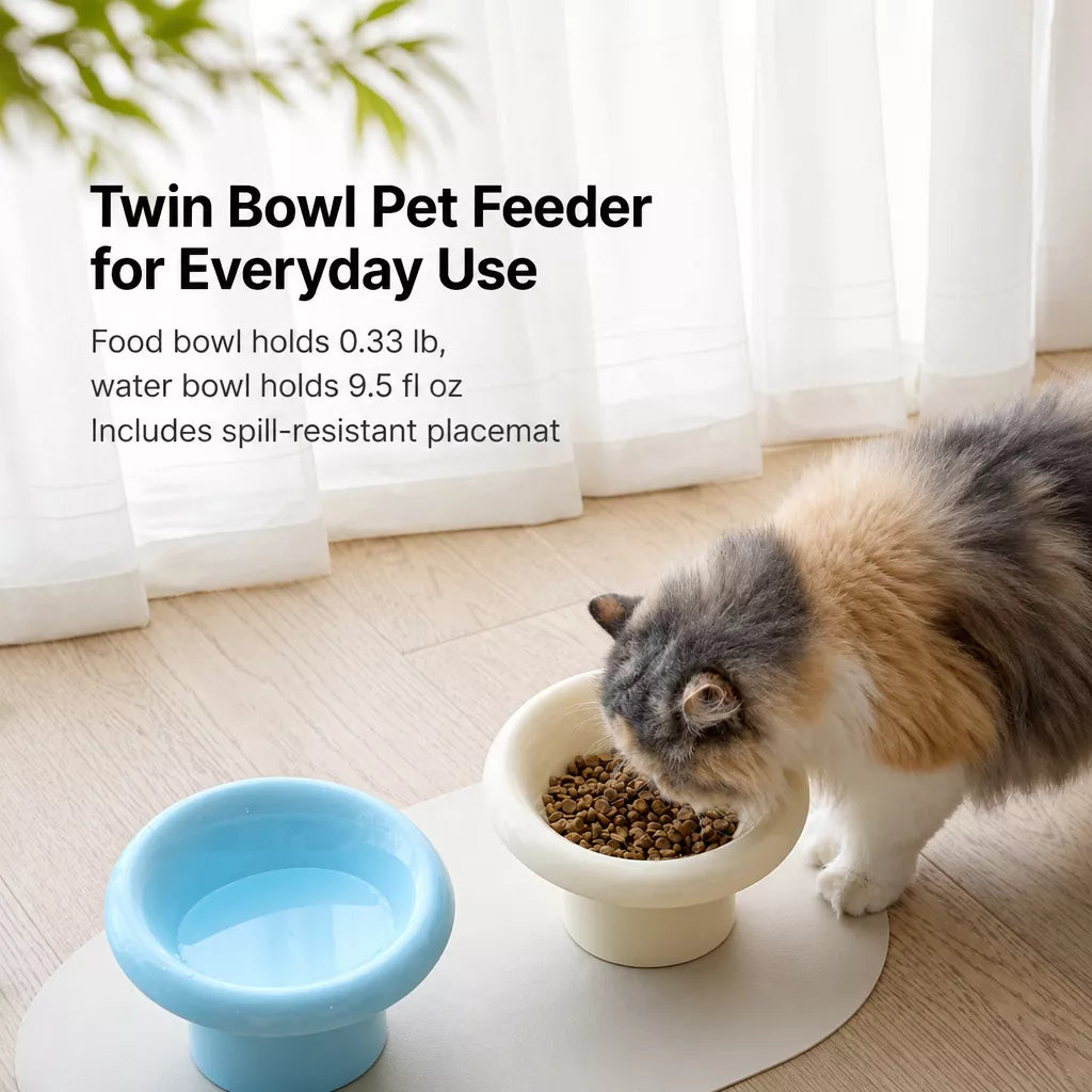 Fafa Ceramic Pet Bowl