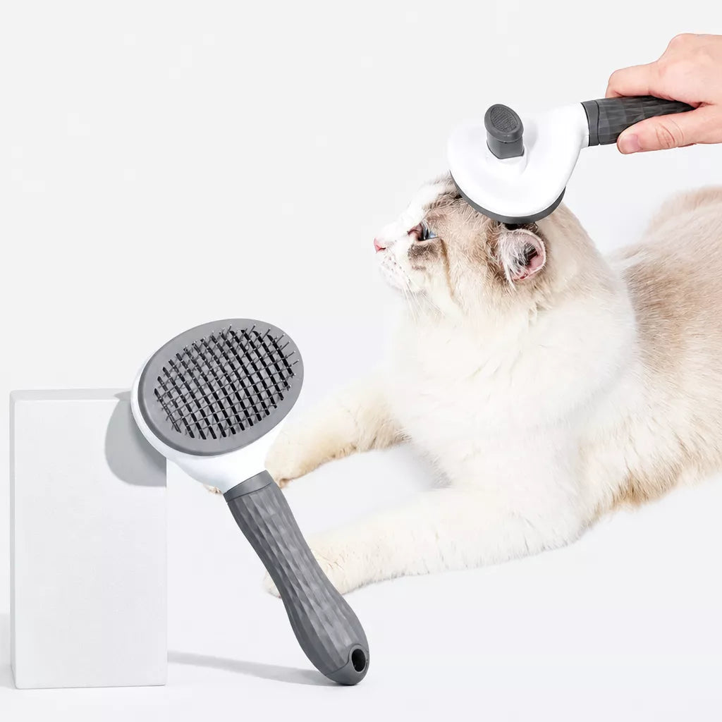 Self-Cleaning Pin Brush for Dogs & Cats