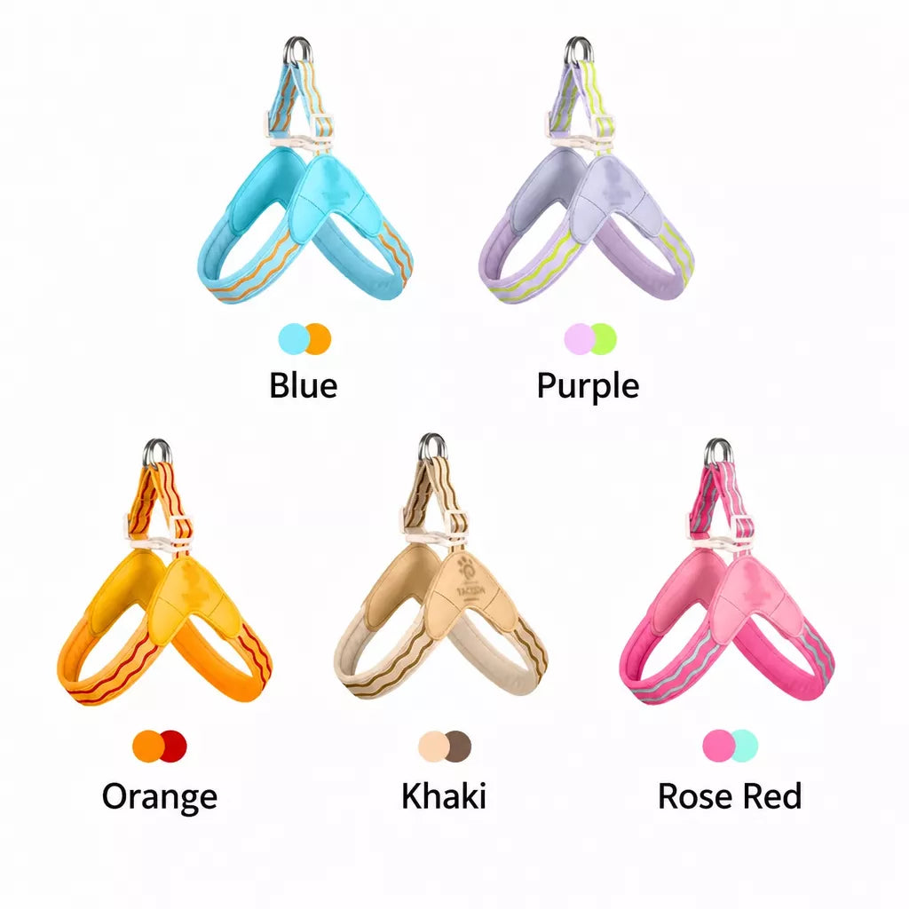 Y-Shaped Dog Harness and Leash for Small to Medium Dogs