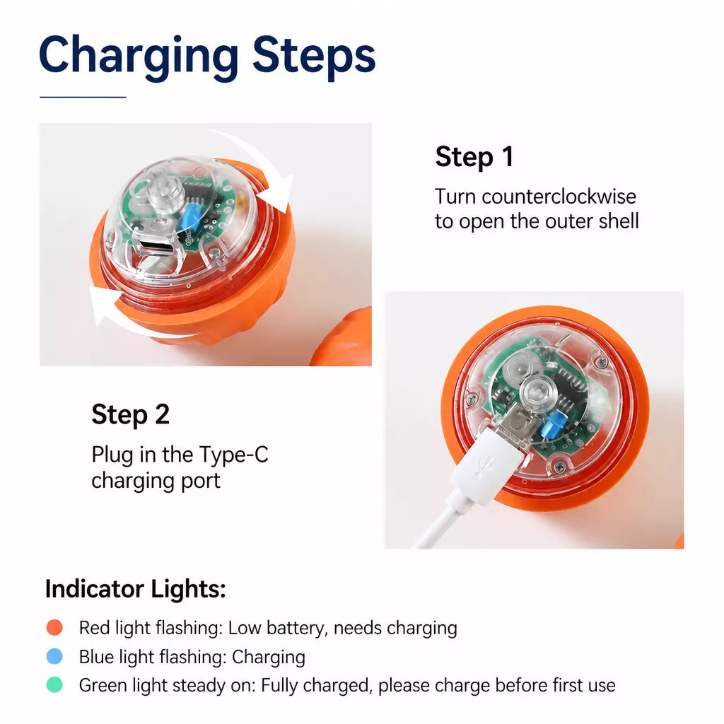 Interactive Electric Squeaky Bouncing Ball Toy for Dogs