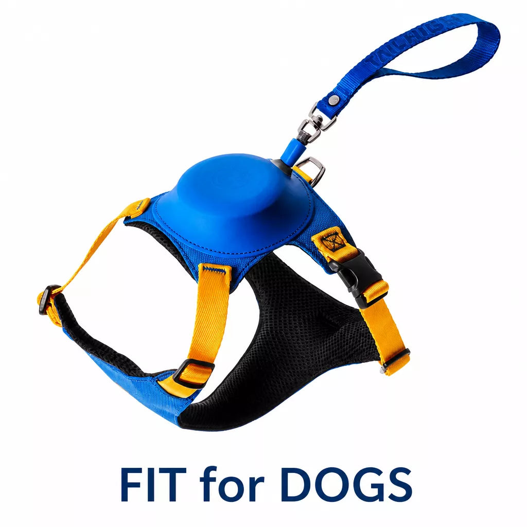 Nylon Dog Harness and Leash Set