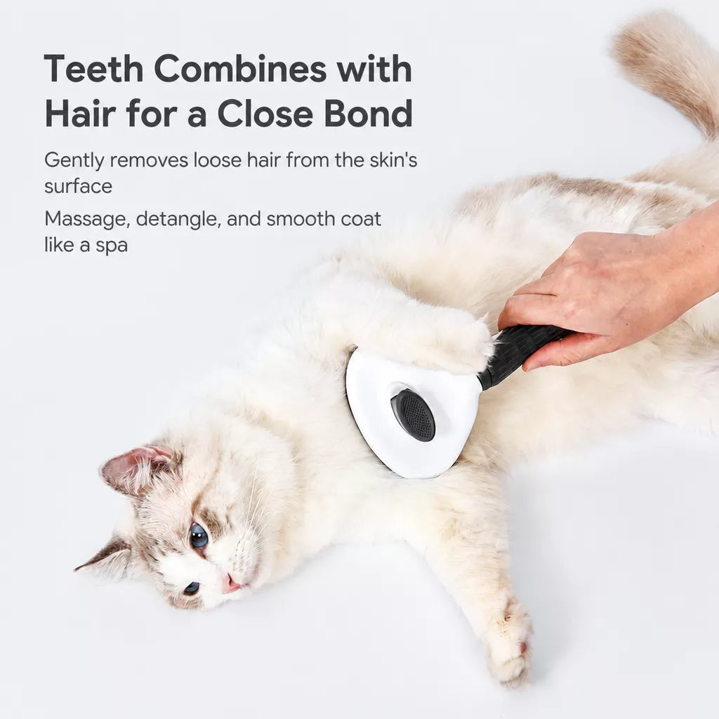 Self-Cleaning Pin Brush for Dogs & Cats