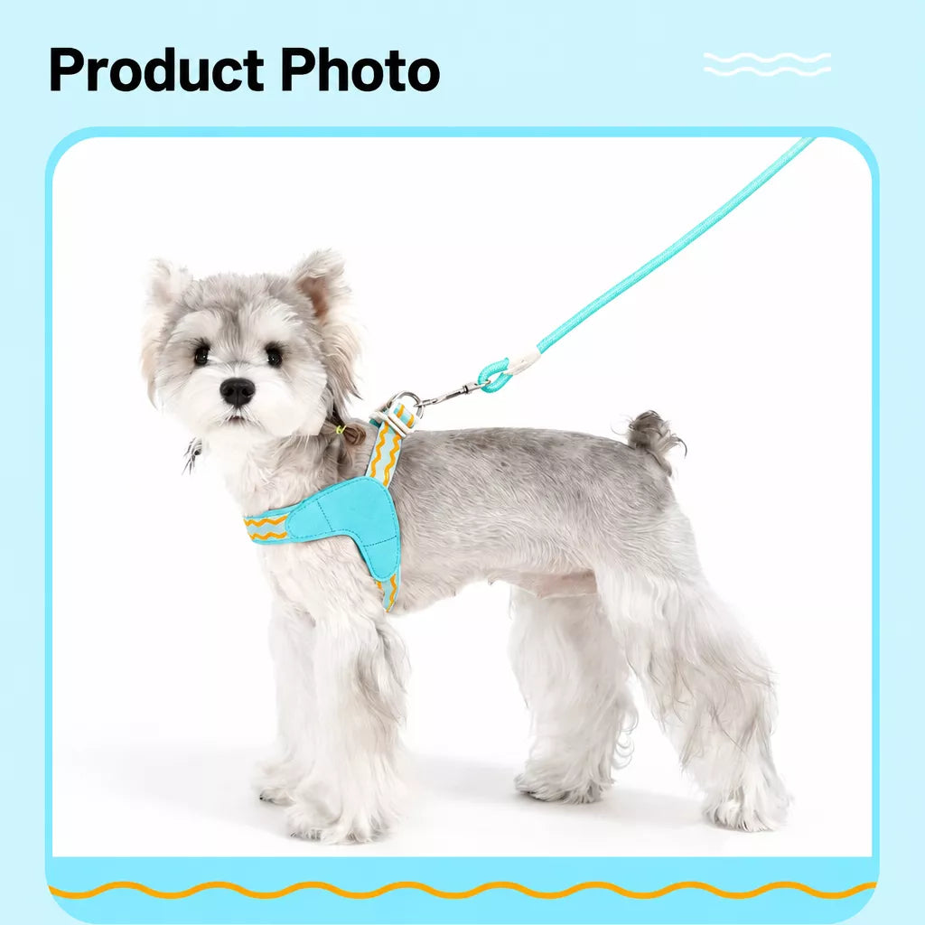 Y-Shaped Dog Harness and Leash for Small to Medium Dogs
