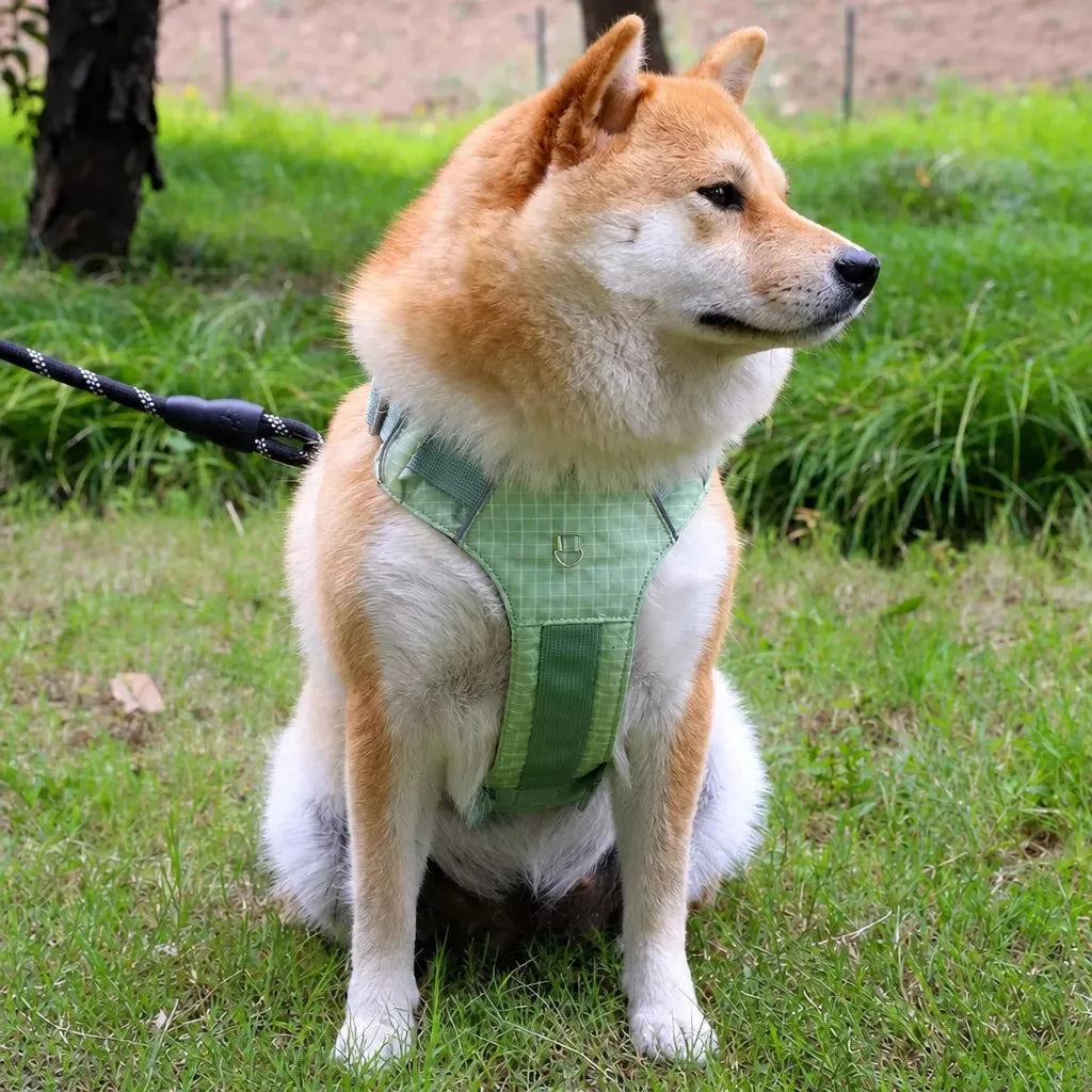 Adjustable Nylon Vest-Style Dog Harness and Leash Set