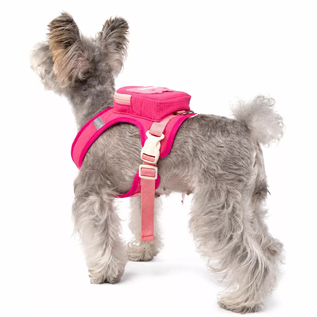 Pet Chest Carrier Bag for Dogs and Cats