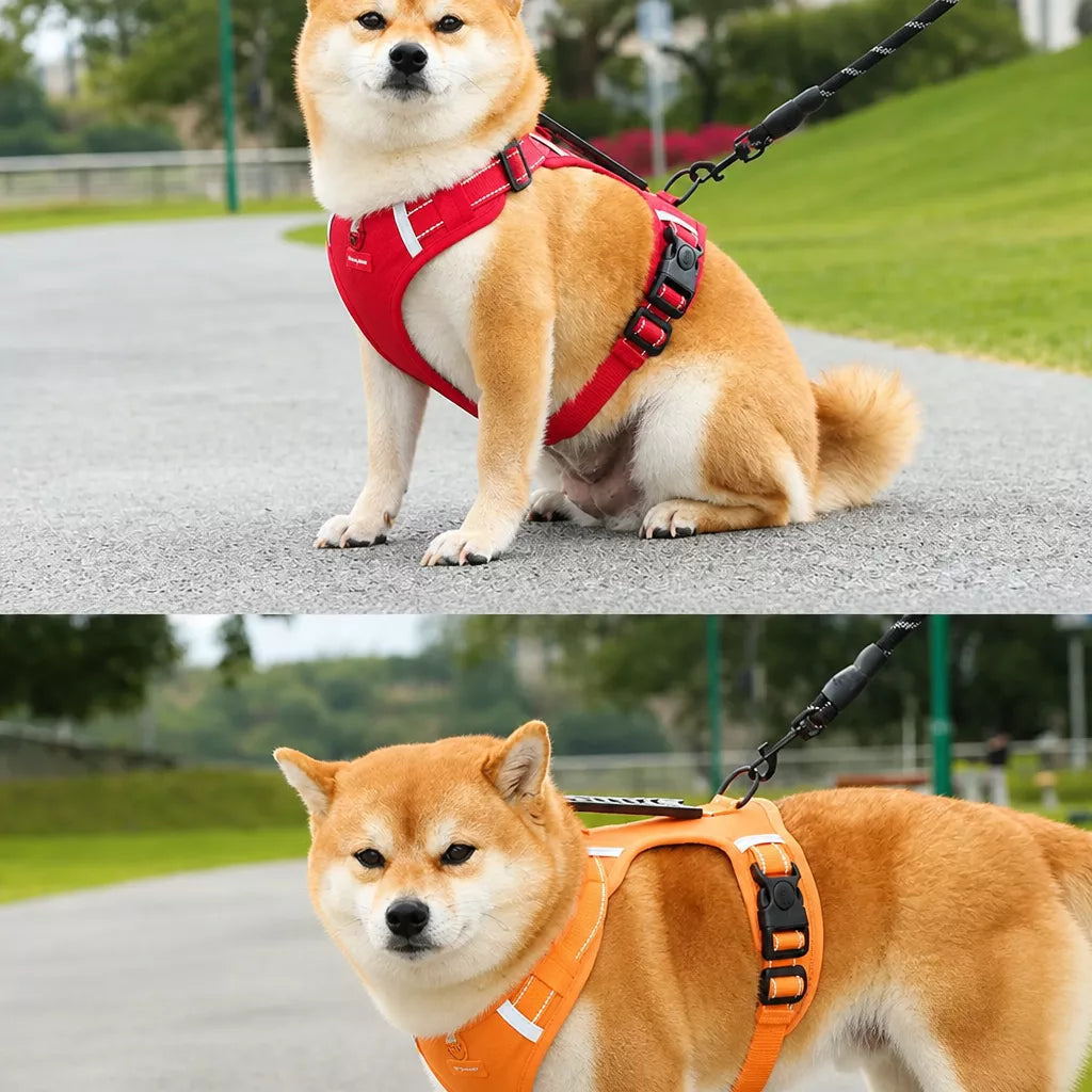 Dog Vest Harness and Leash for Everyday Walks