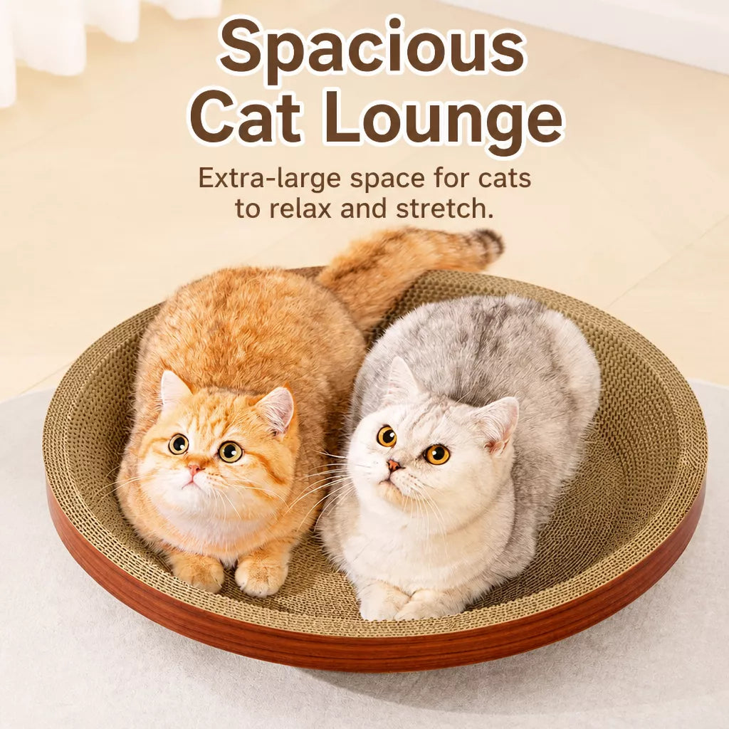 Corrugated Cardboard Cat Scratcher Lounge