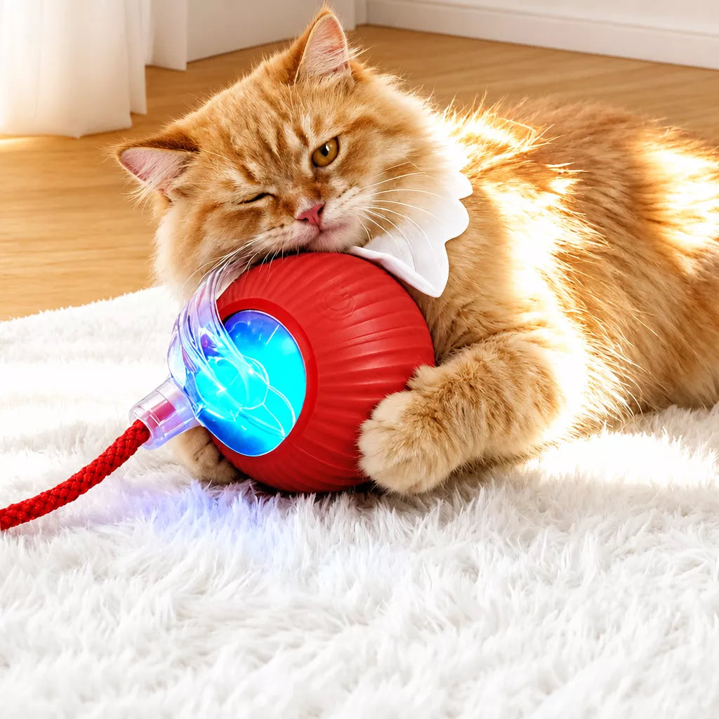 3-Mode Automatic Cat Ball Toy with String