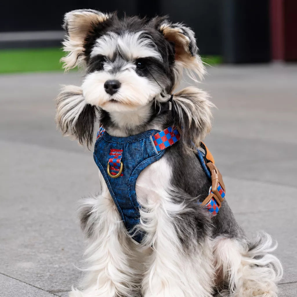Adjustable Polyester Dog Vest Harness and Leash