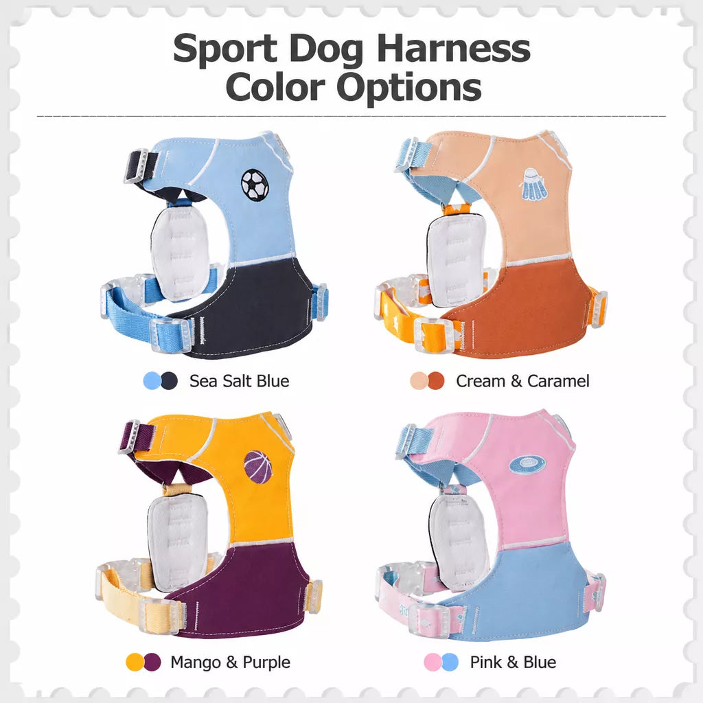 Vest-Style Dog Harness with Leash for Small to Medium Dogs