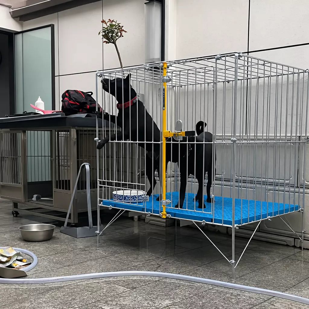Steel Dog Kennel with Galvanized Finish for Indoor/Outdoor Use