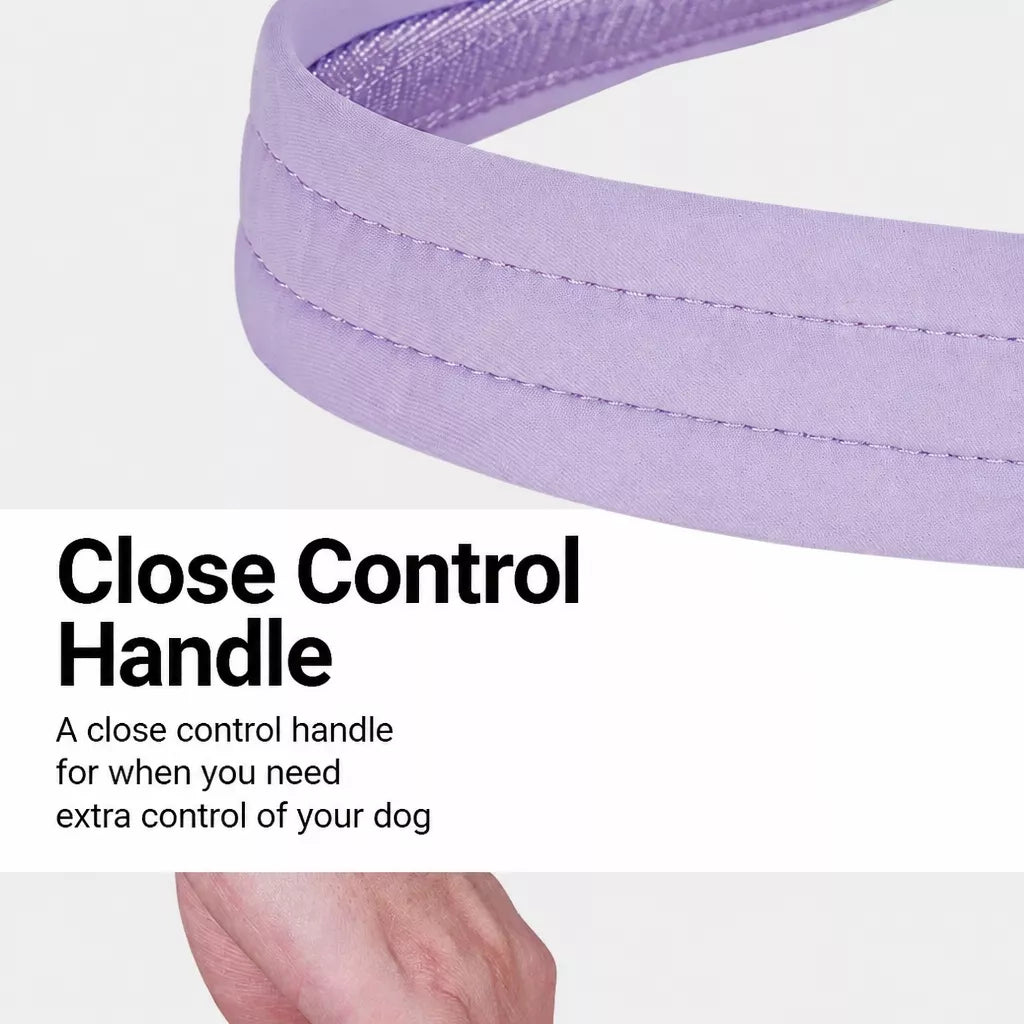 Nylon Dog Harness with Collar and Leash Set Options