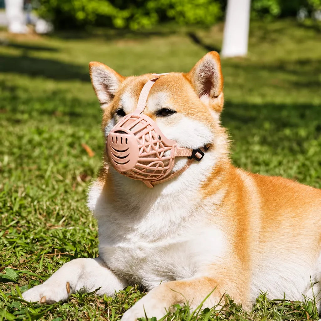 Breathable Mesh Dog Muzzle