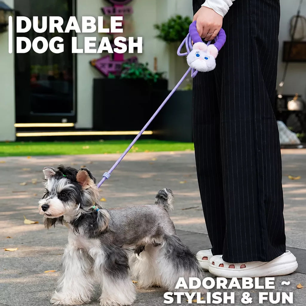 Nylon Slip Lead Dog Leash with Comfort Grip for Training