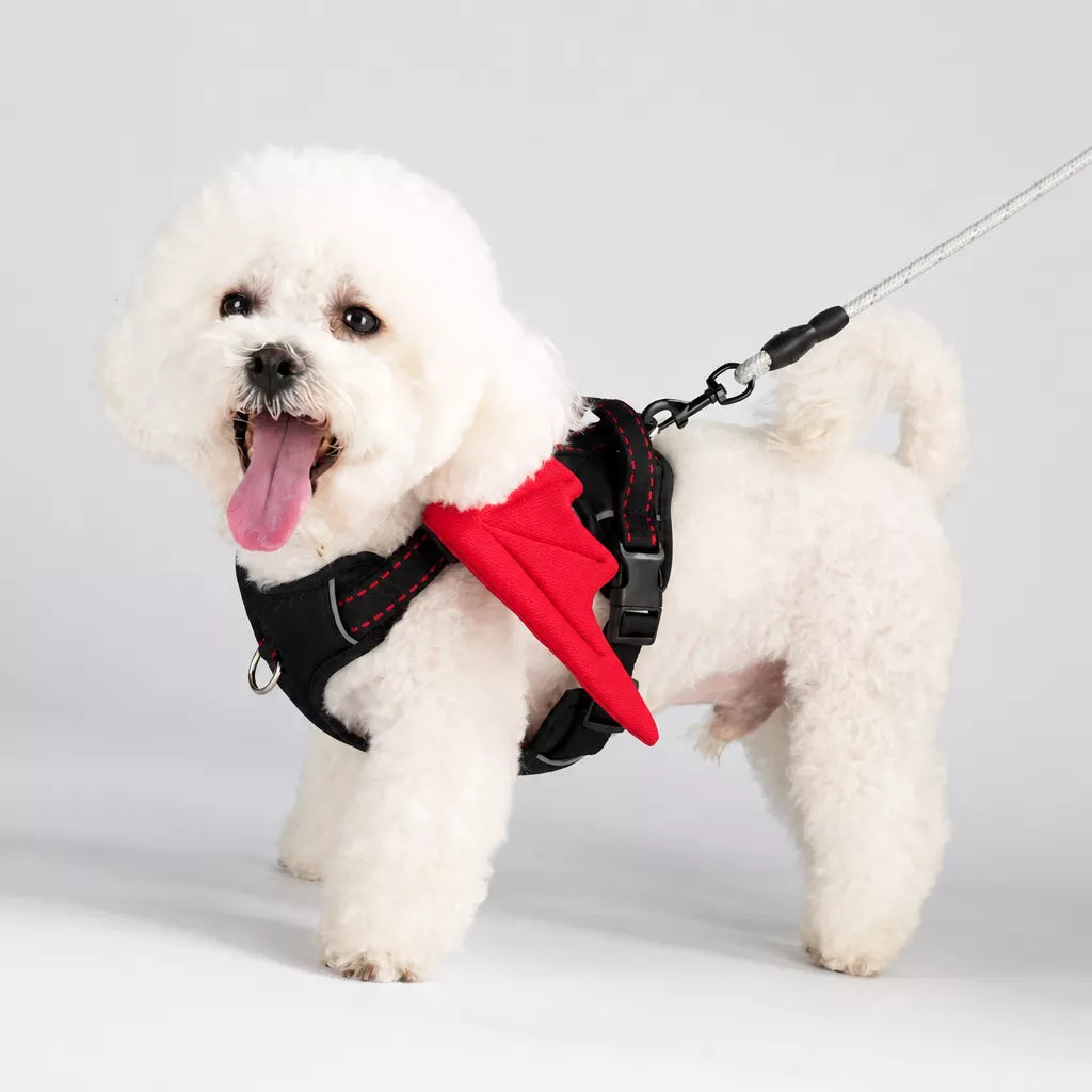 Wing-Detail Nylon Dog Harness