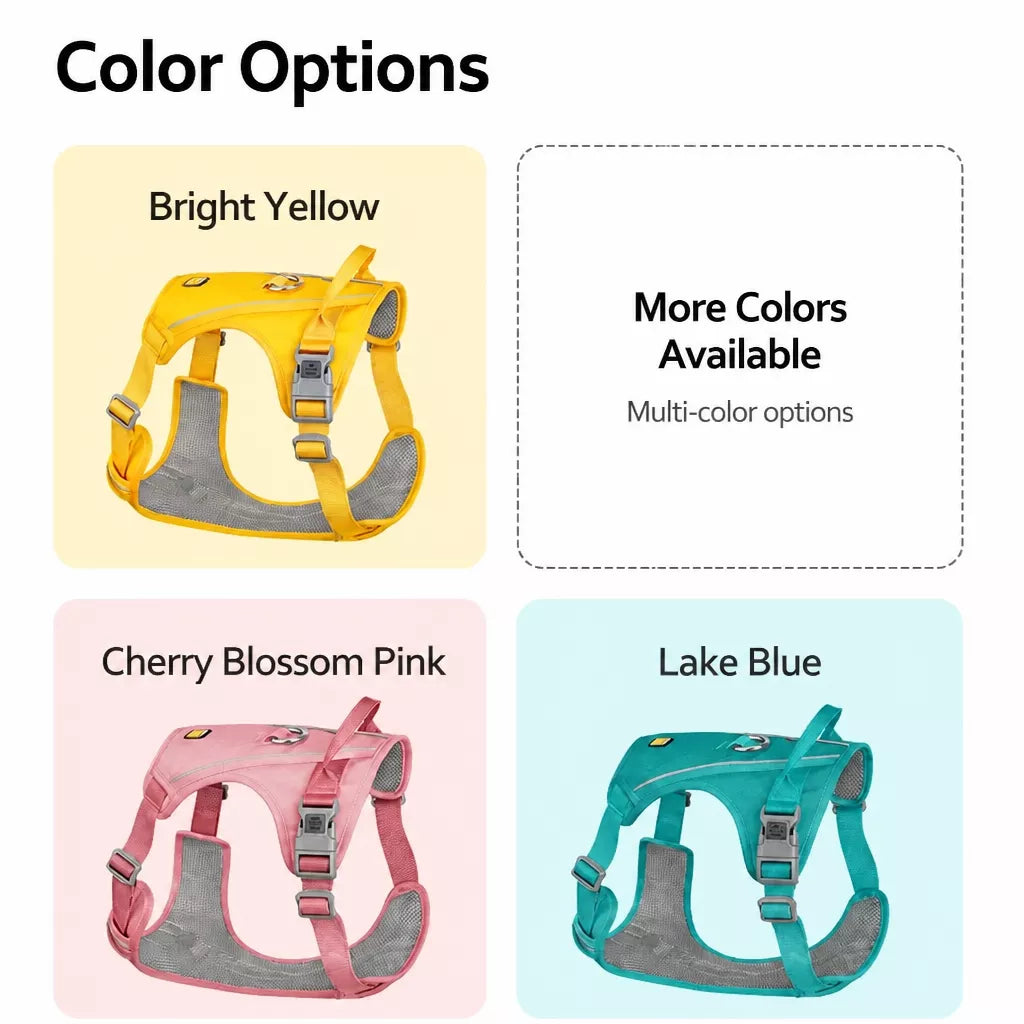 Lightweight Nylon Dog Harness and Leash Set