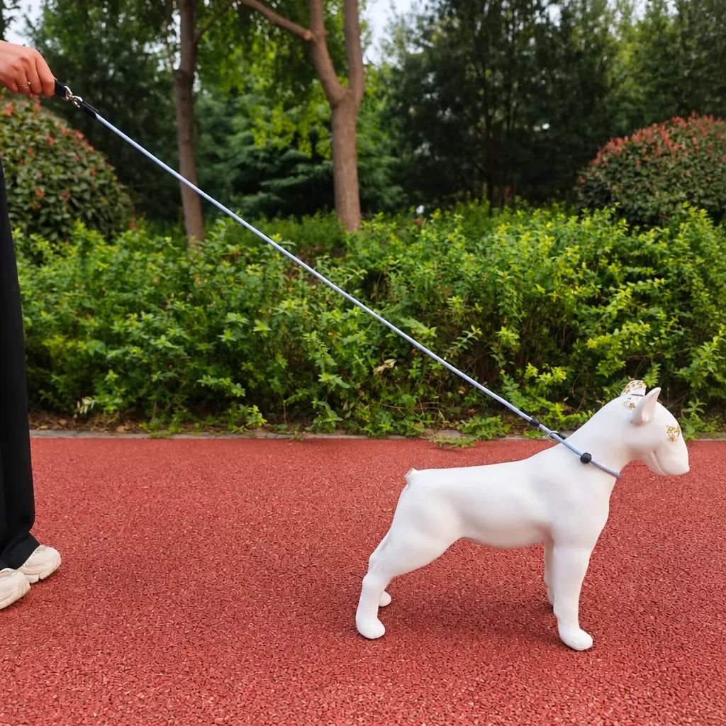 Nylon Rope-Style Dog Training Leash for Small and Medium Dogs