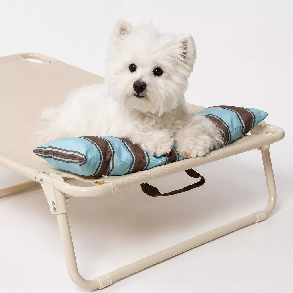 Elevated Waterproof Dog Bed
