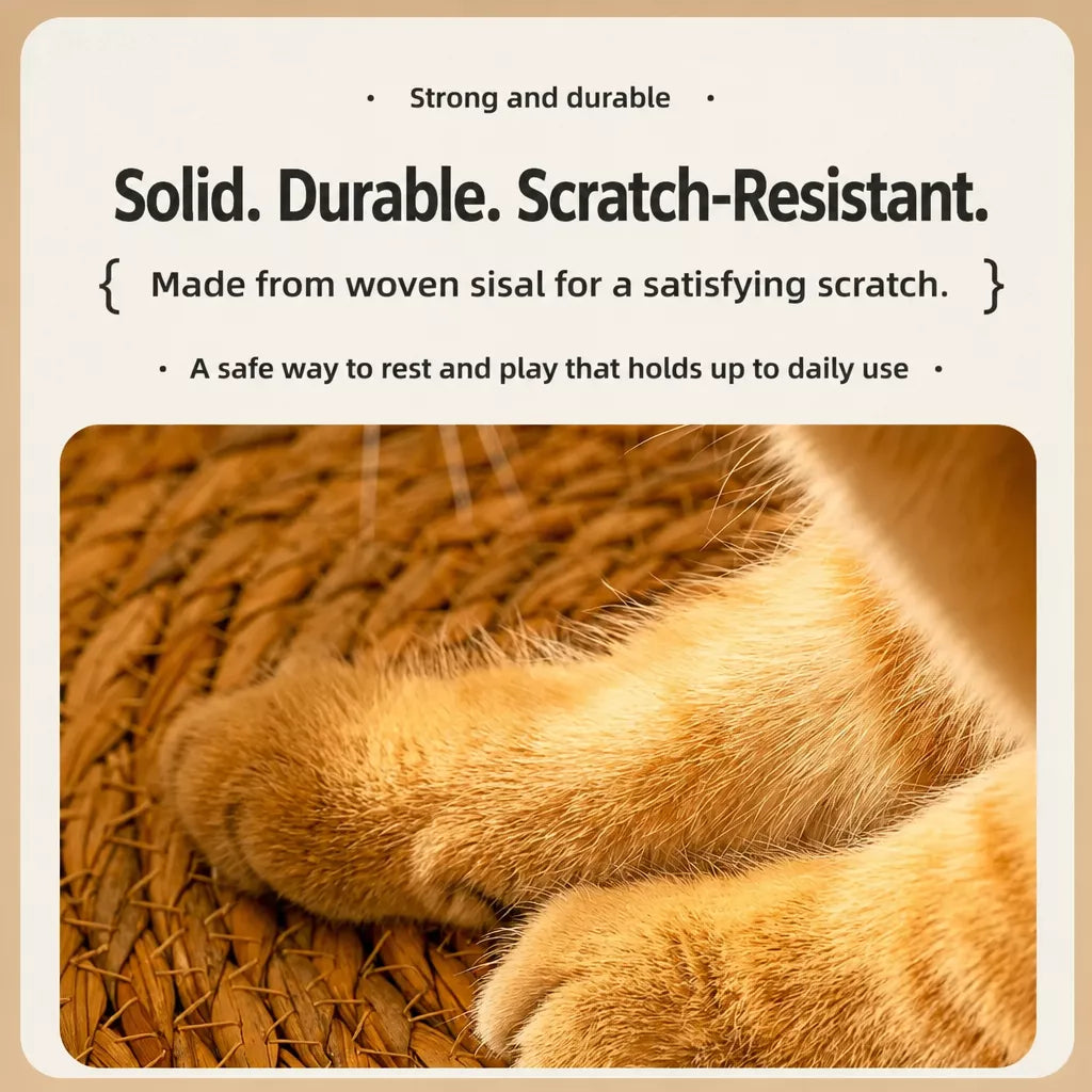 Woven Rattan Cat Bed with Cat-Ear Design